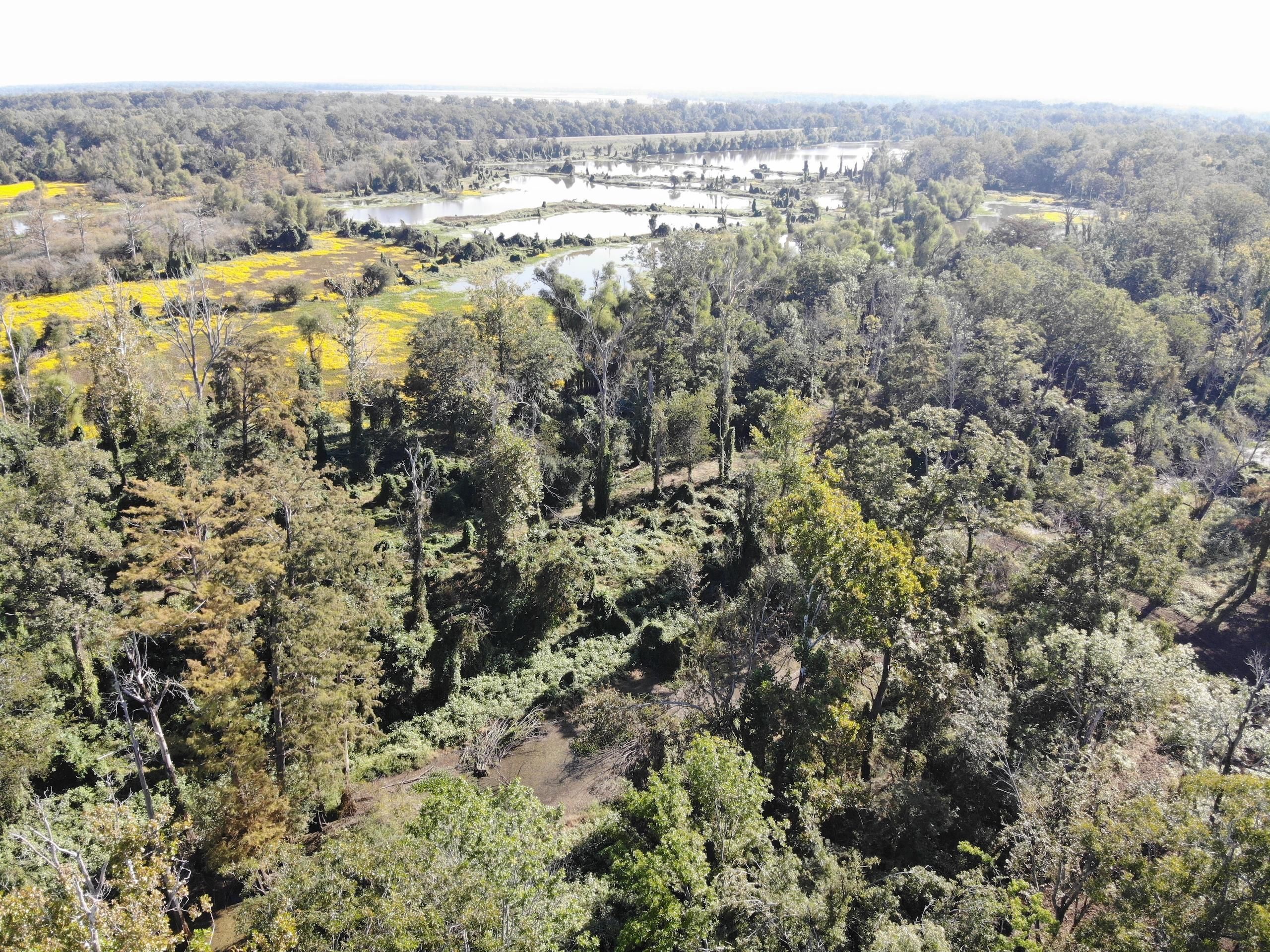 State Route 3196, Lot WP001, Ferriday, LA 71334 Land and Farm