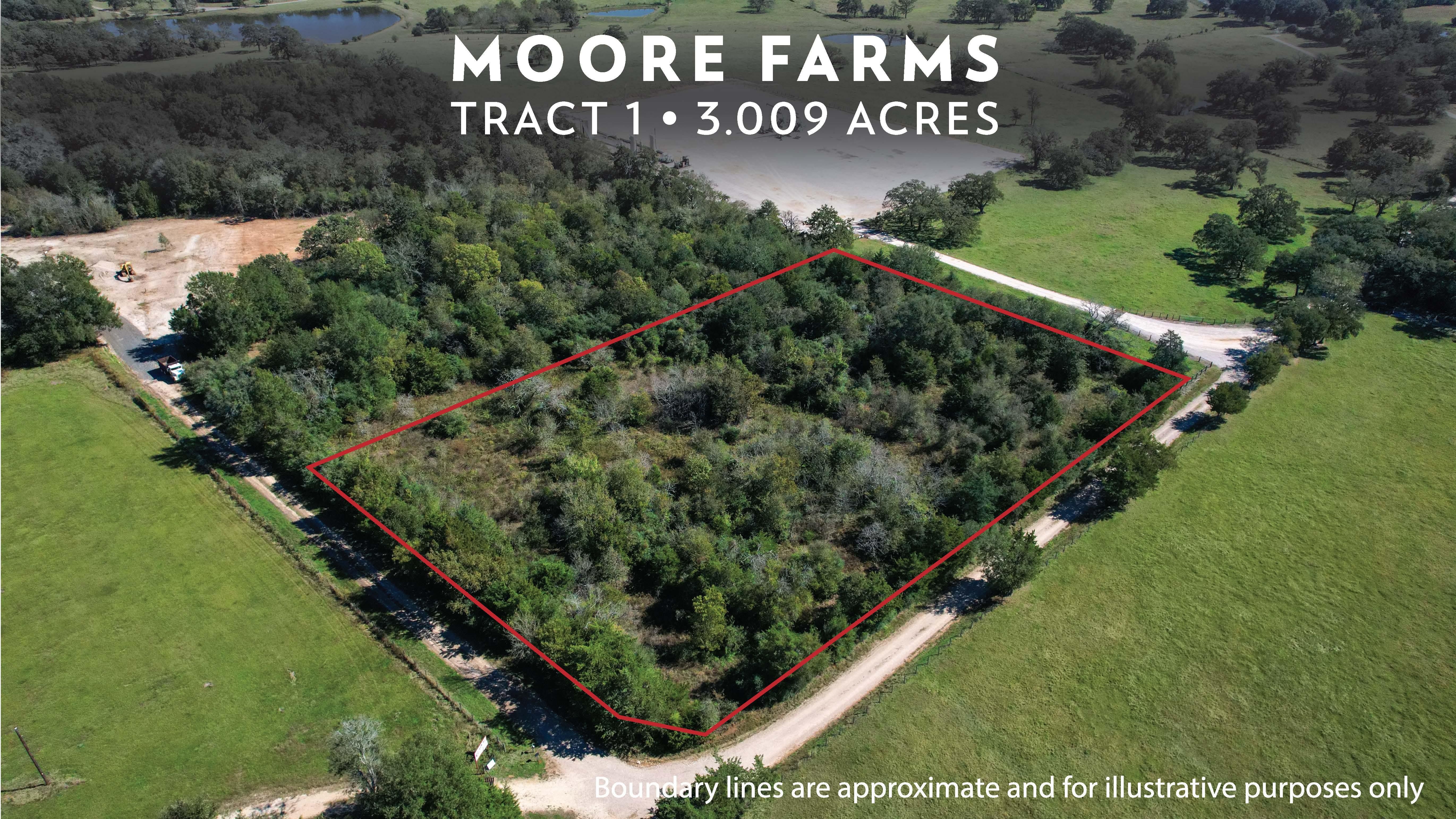 TBD (Tract 1 3.009 ac) County Road 234, Caldwell, TX 77836 Land and