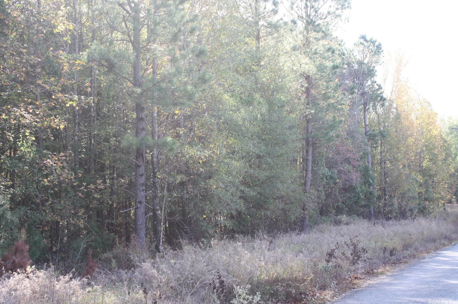 17.04 Acres, Genoa, AR 71840 Land and Farm