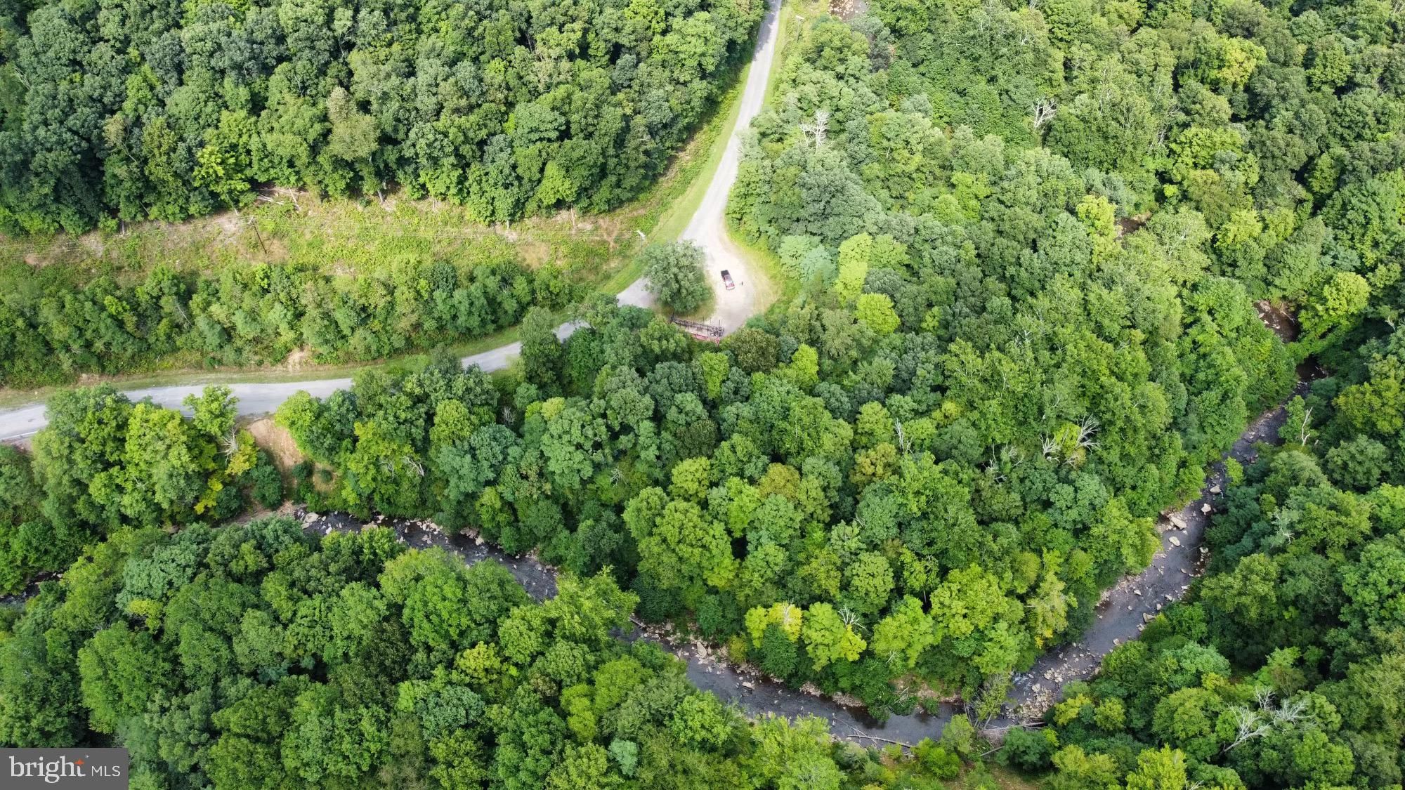 100 Acres, ABRAMS CREEK (ELK DISTRICT), Elk Garden, WV 26717 Land and