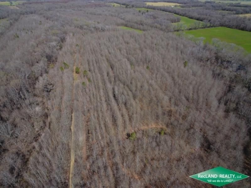 200 Acres, Crowville, LA 71232 Land and Farm