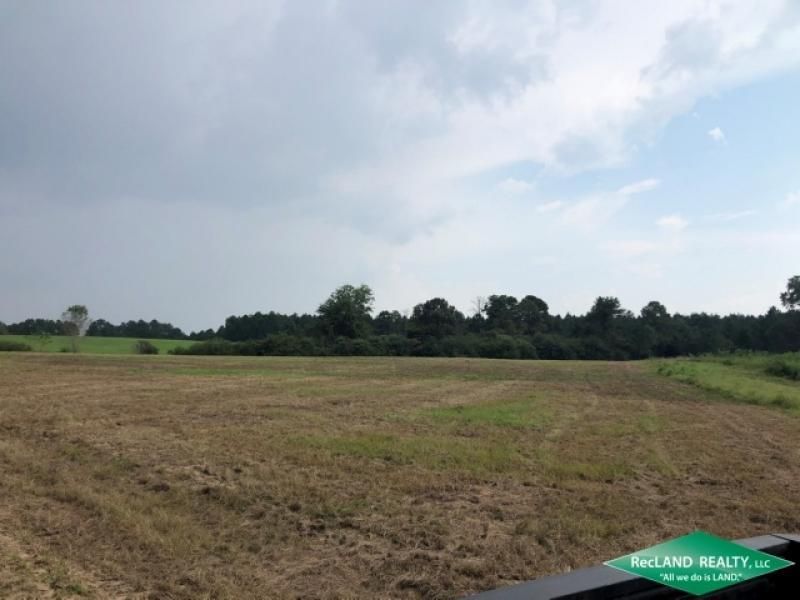 42 Acres, Baxterville, MS 39455 Land and Farm