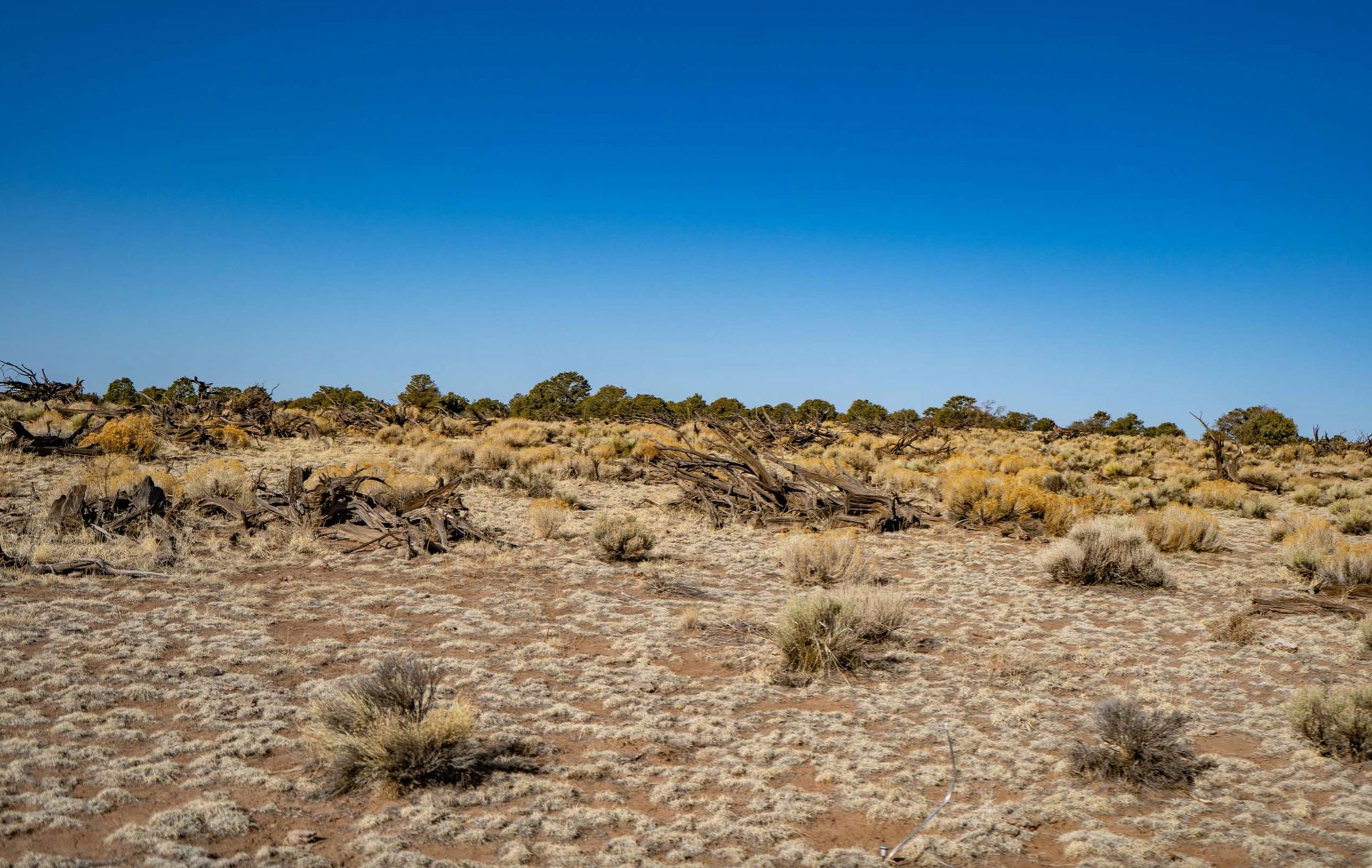 1 Acres, Concho, AZ 85924 Land and Farm