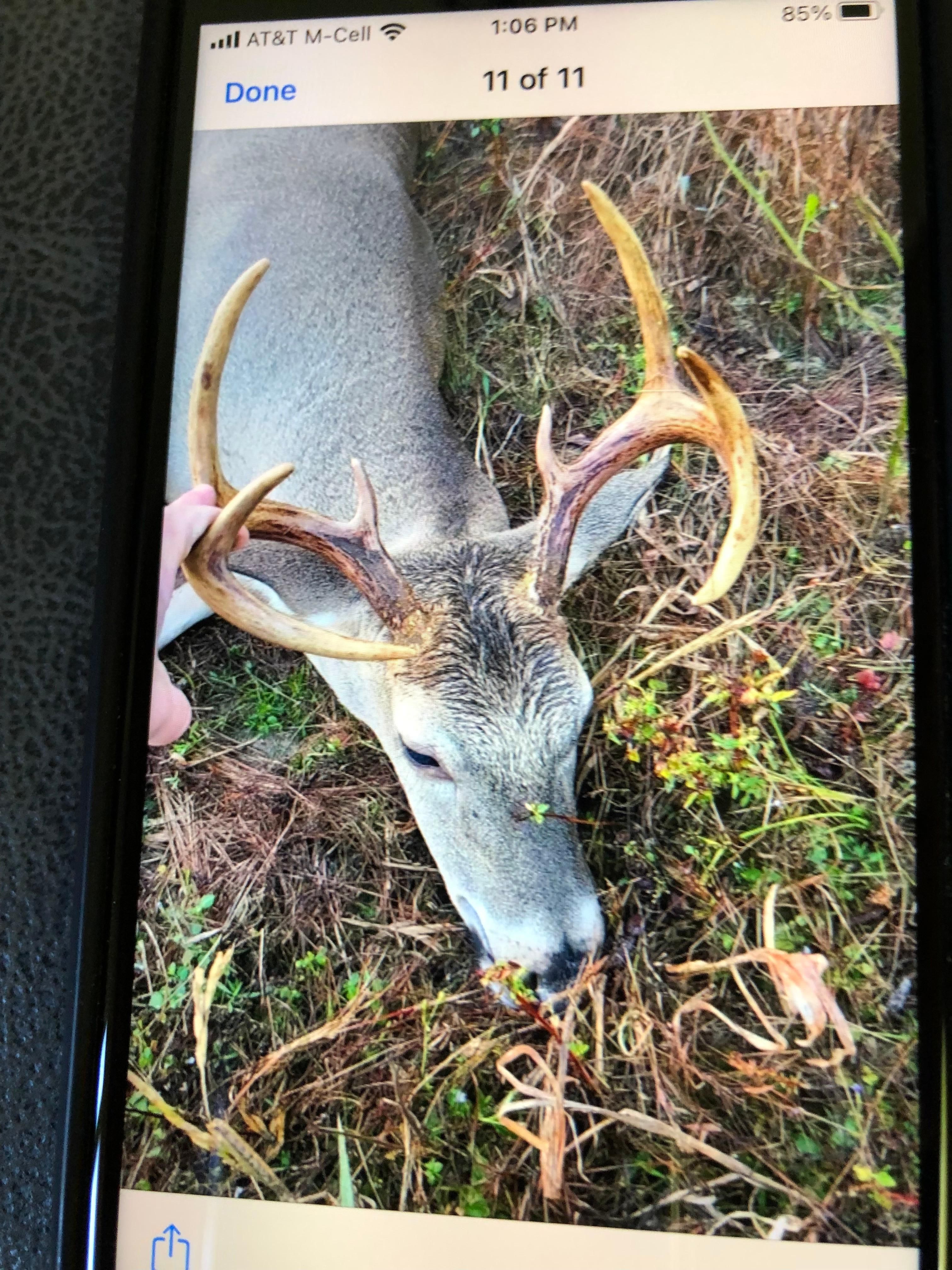 709 Acres, Elton, LA 70532 Land and Farm