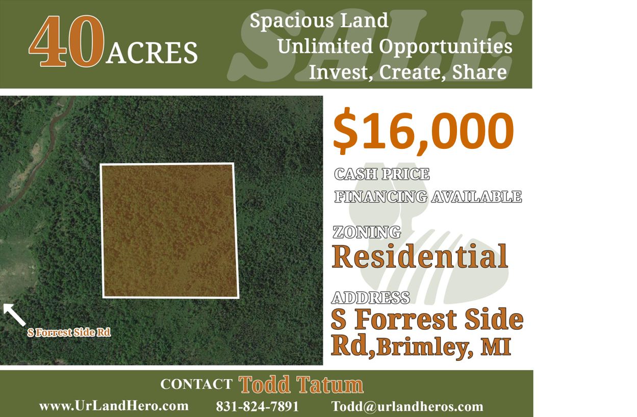 40 Acres, South Forrest Side Road, Brimley, MI 49715 Land and Farm