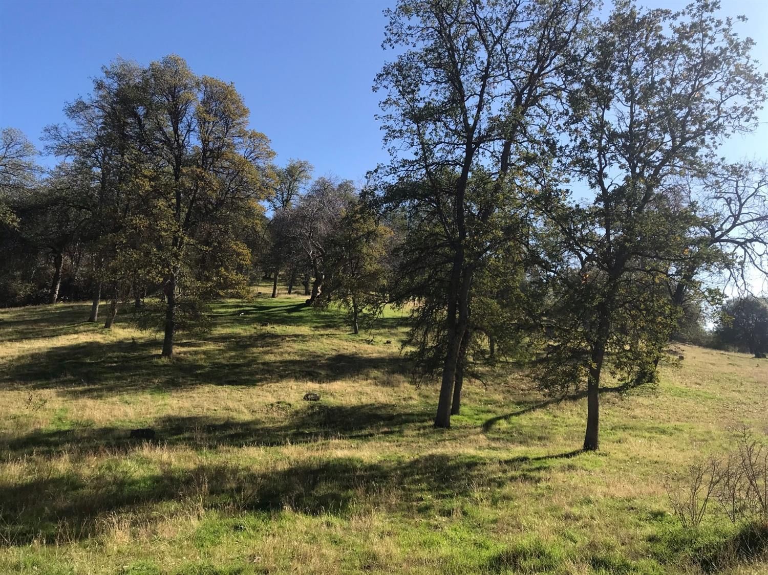40 Acres, Apn 19506070, Miramonte, CA 93641 Land and Farm
