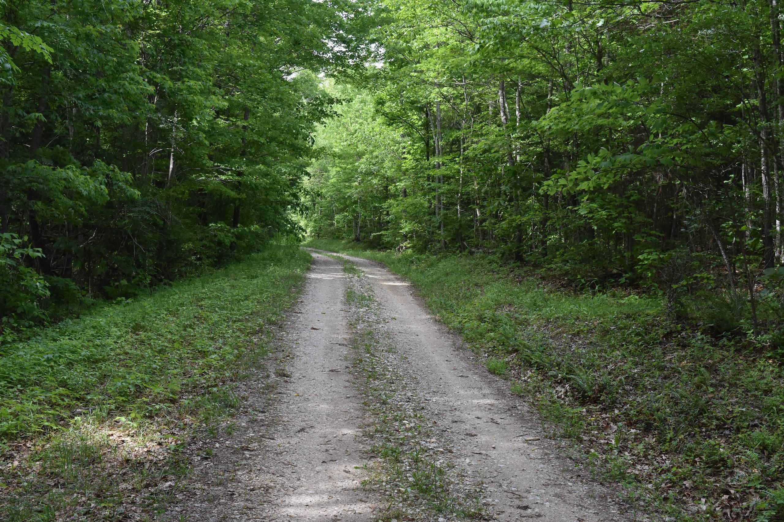 10.37 Acres, FS Road 22A, LotWP01, Mount Victory, KY 42501 Land and Farm