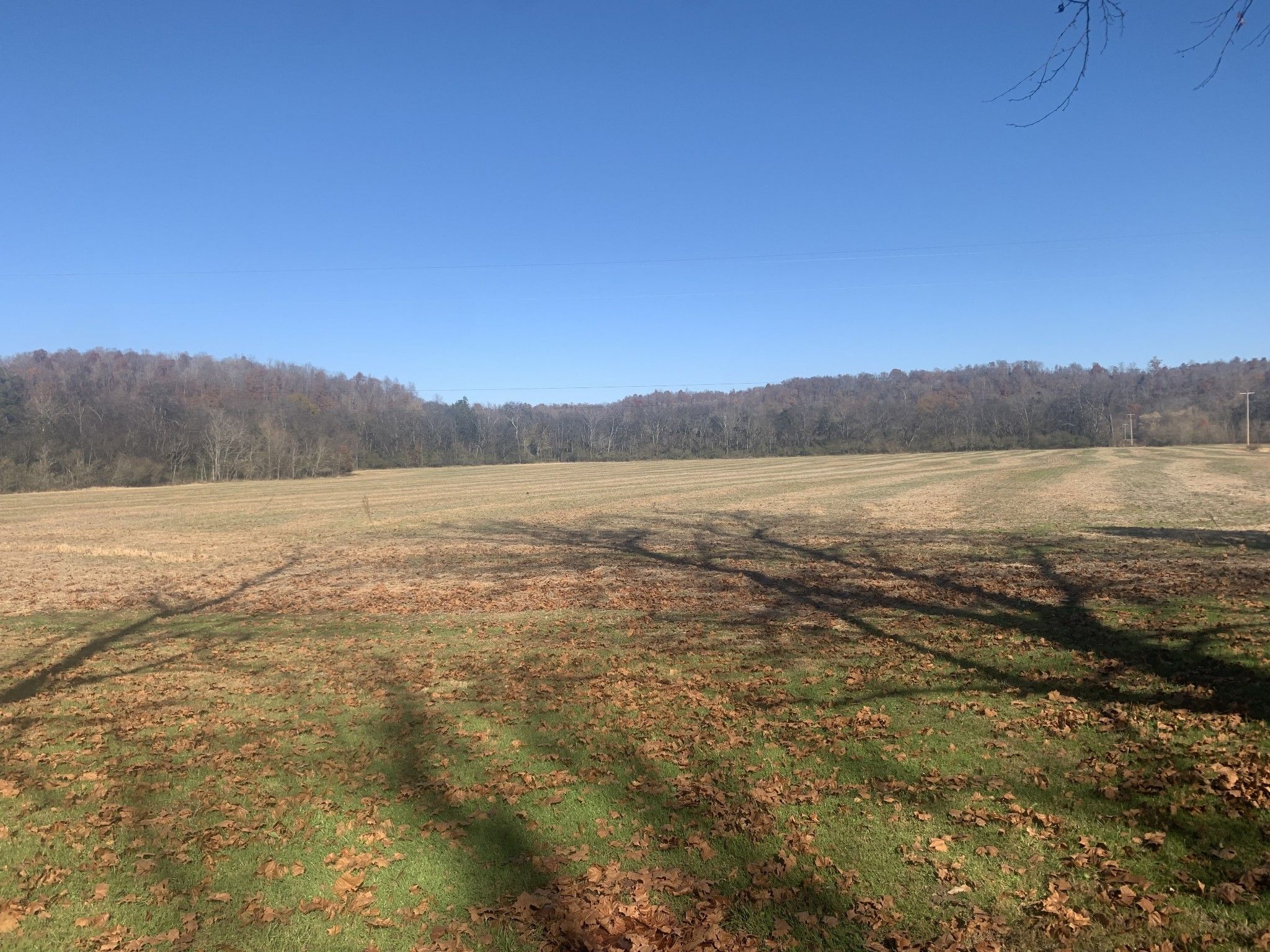 76.5 Acres, 506 Shuler Branch Rd, Ethridge, TN 38456 Land and Farm