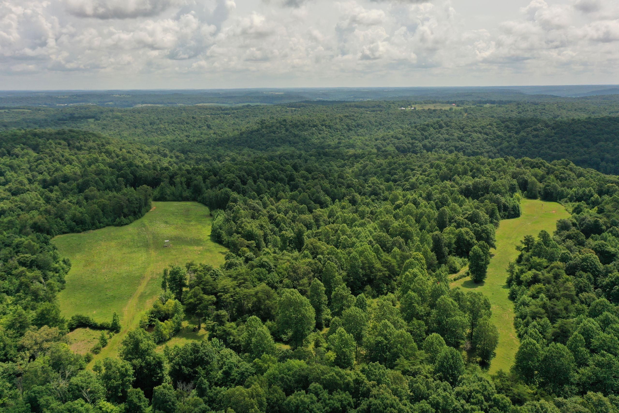 259 Acres, 1018 A. Jordon Road, Crofton, KY 42217 Land and Farm