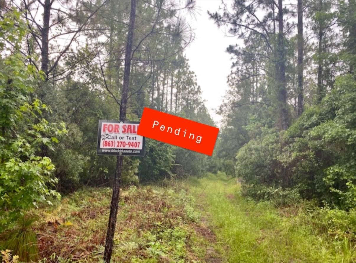 14.96 Acres, Palatka, FL 32177 Land and Farm