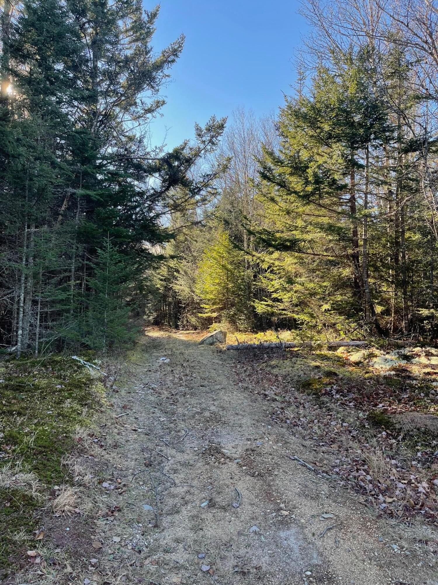 10 Acres, 47/48d Duck Cove Road Road, Roque Bluffs, ME 04654 Land and