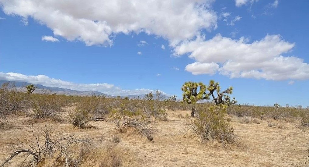 2.5 acres in Lancaster, CA, 93535 MLS 3326028025 Land and Farm