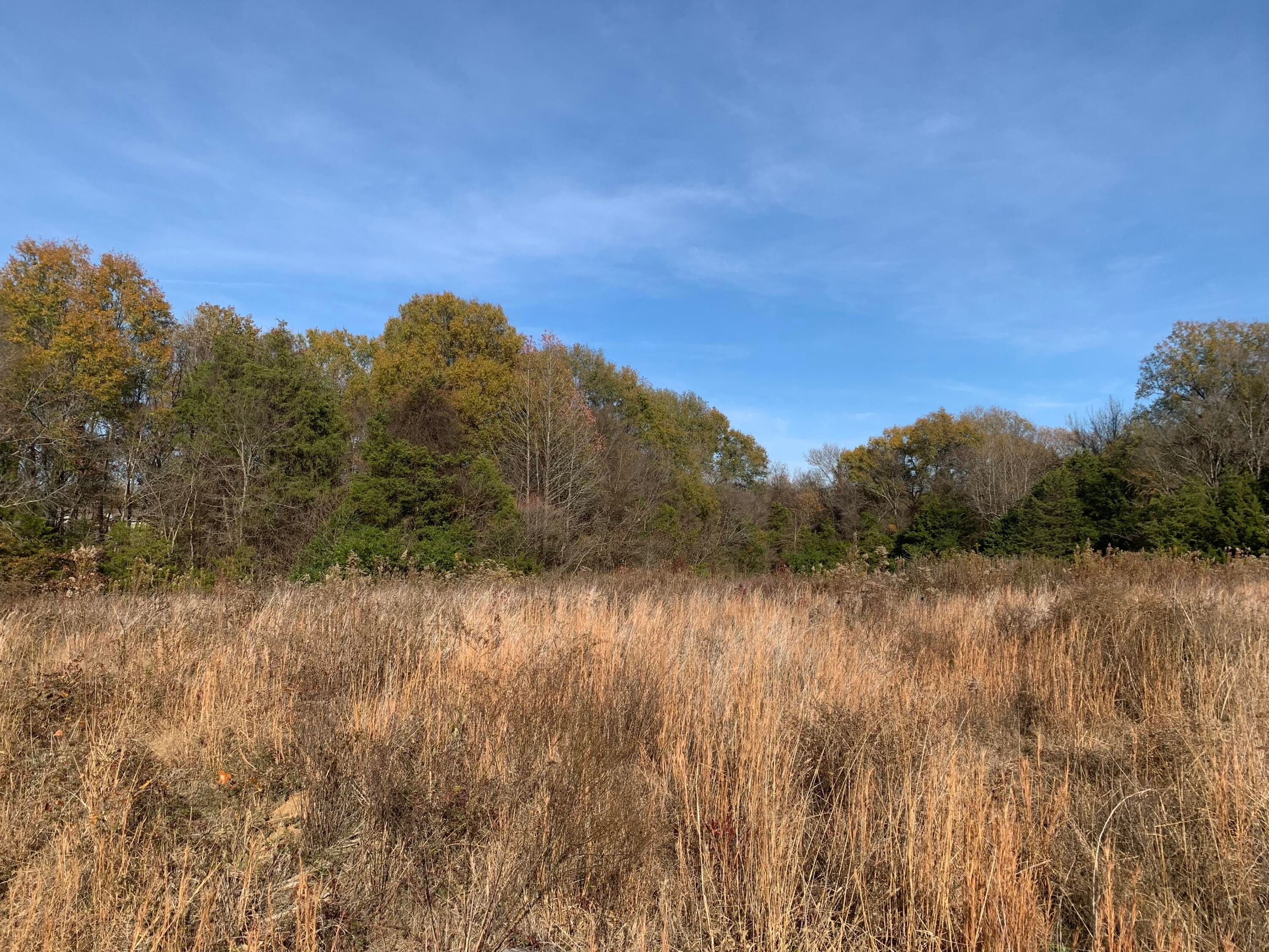 16 Acres, River Road, Pottsville, AR 72858 Land and Farm