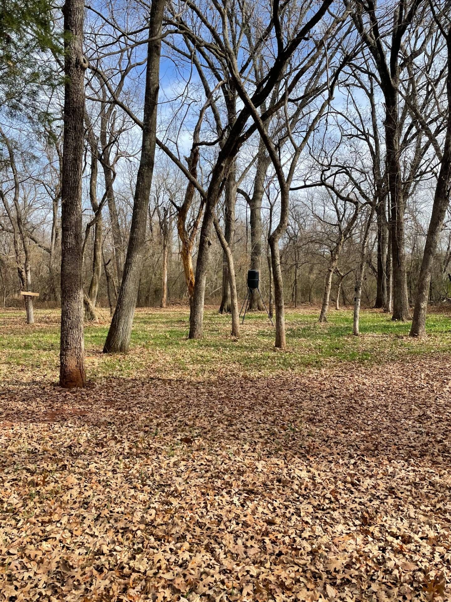 20 Acres, 38511 Stevens Rd, OK 74878 Land and Farm