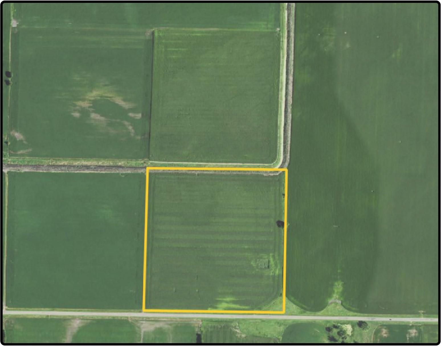 40 acres in Blue Earth County, Minnesota