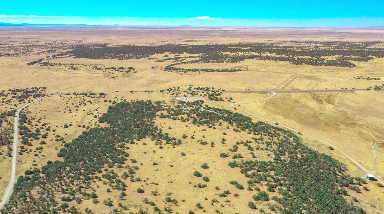 Meade Avenue NM426, Orogrande, NM 88342 Land and Farm