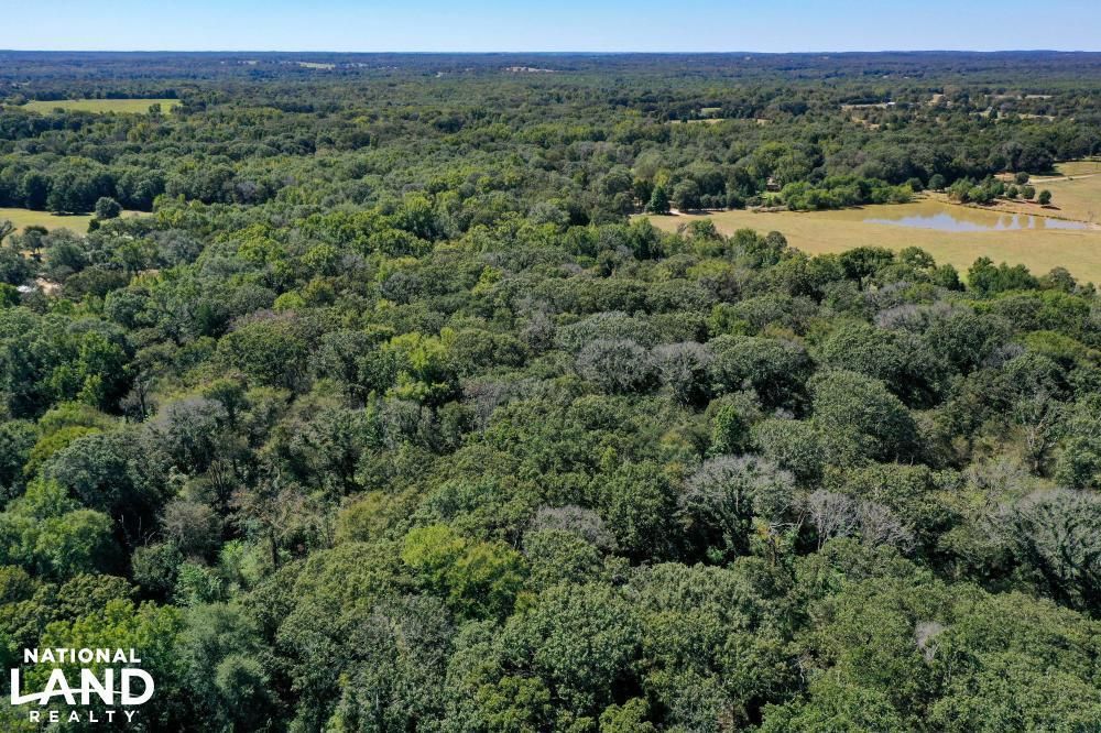 TBD Fm 1861, Martins Mill, TX 75754 Land and Farm