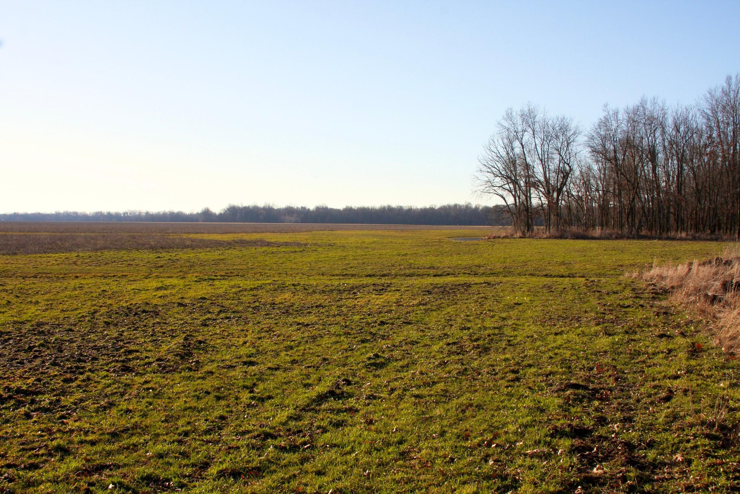 SE 30th Rd, LotWP001, Golden City, MO 647487241 Land and Farm