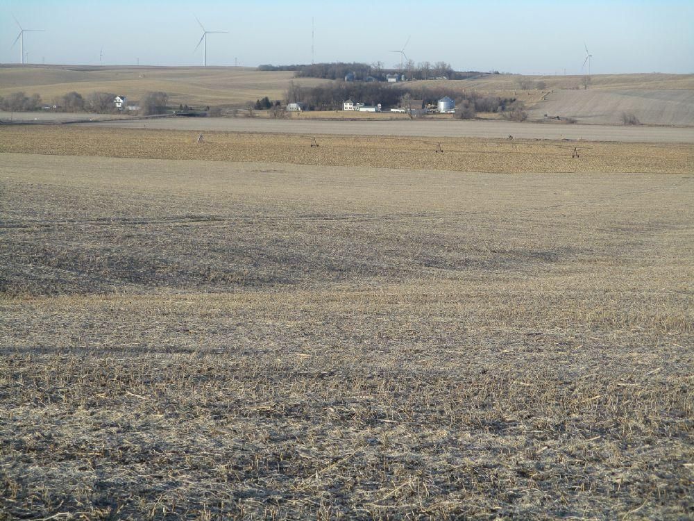239.81 acres in Winside, NE, Land and Farm