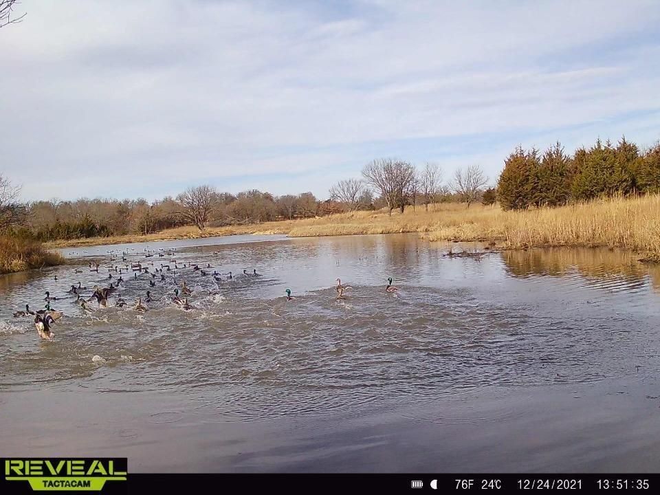 00000 60th St, Fall River, KS 67047 Land and Farm