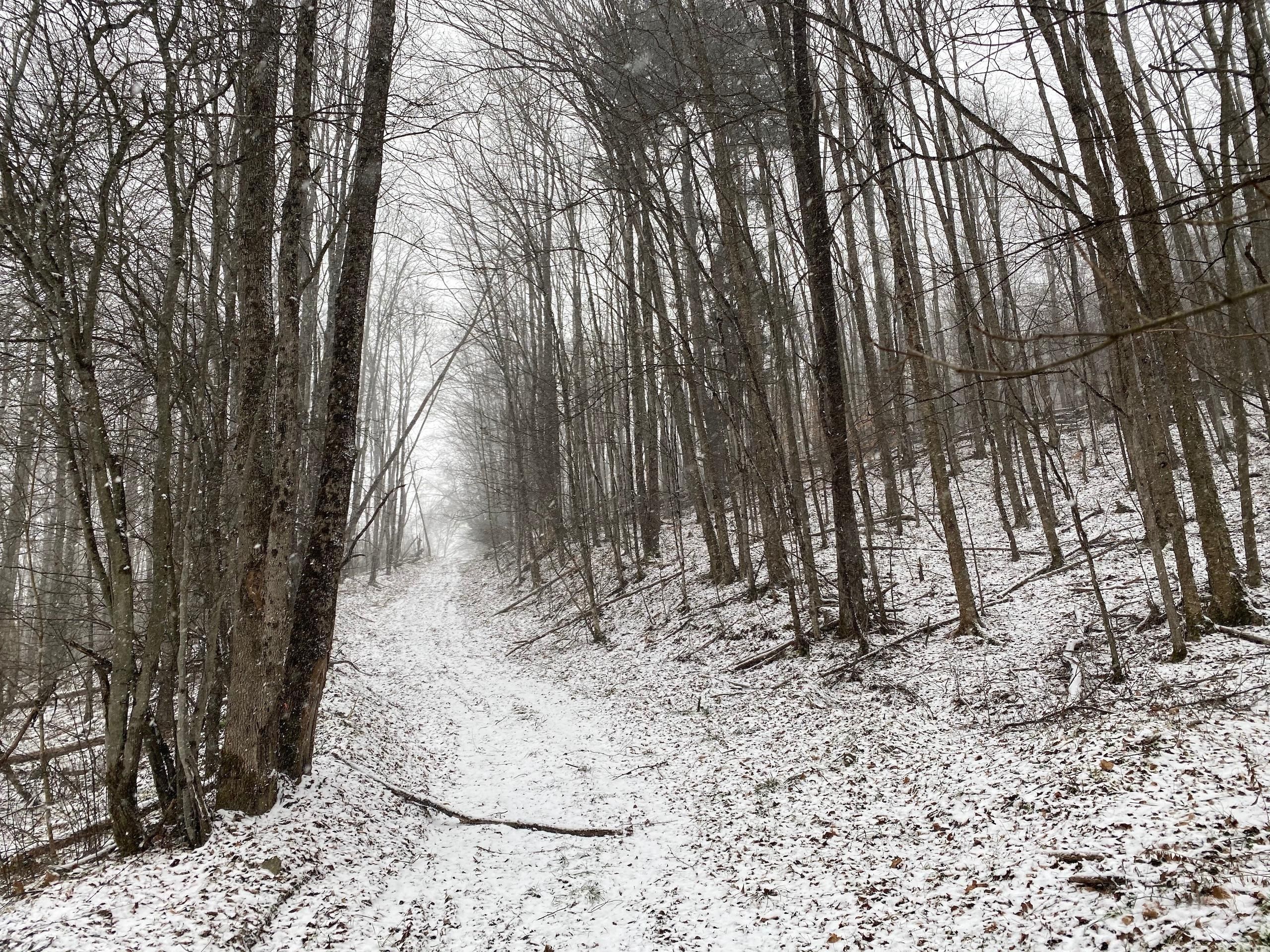 47 Acres, Indian Creek Road, Lot WP001, Eldred, PA 16731 Land and Farm