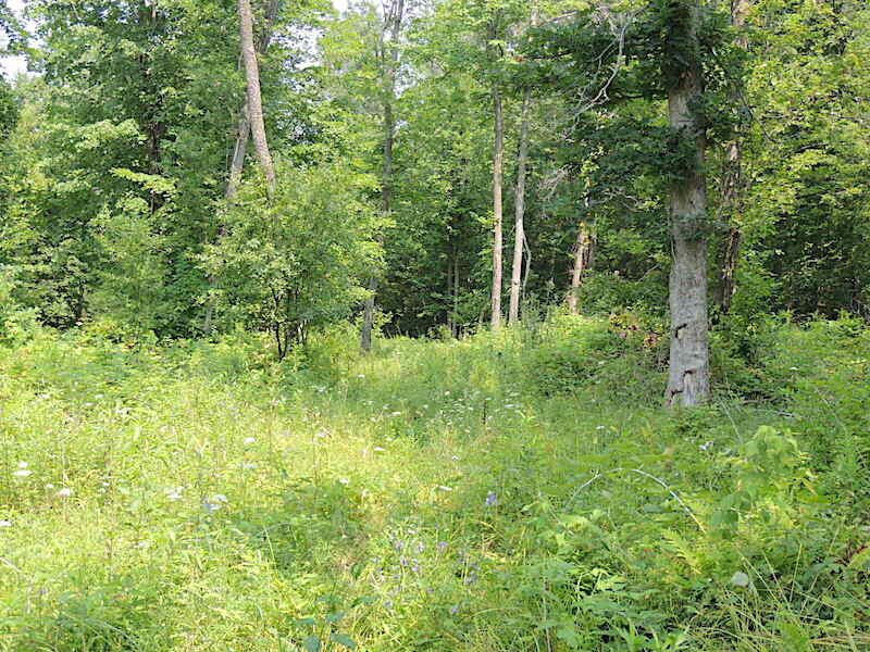 7.88 Acres, E9460A Poplar LN E9470A, Kickapoo, WI 54652 Land and Farm