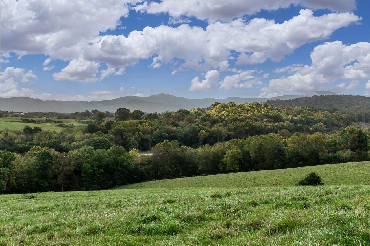 Old Buena Vista Road, Lexington, VA 24450 MLS 136479 Land and Farm