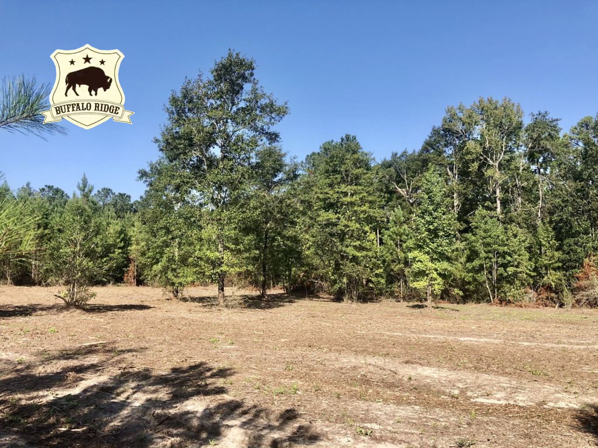 Lot 2 BS, Buffalo Ridge Rd, Pace, FL 32571 MLS 592024 Land and Farm