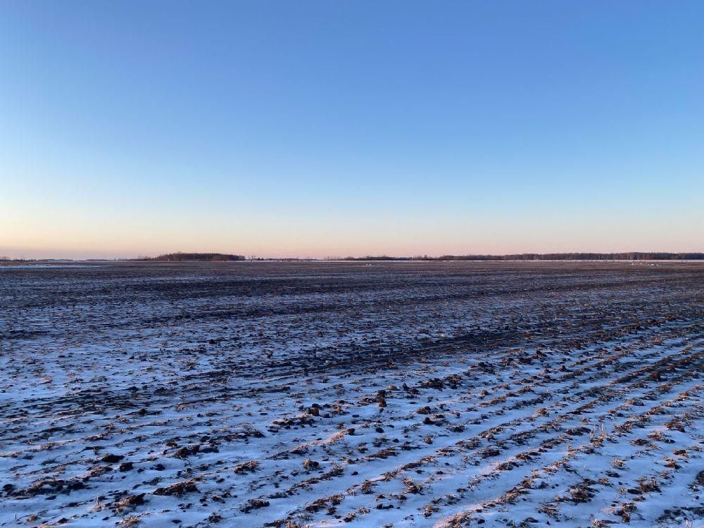 360 acres in Badger, MN, Land and Farm