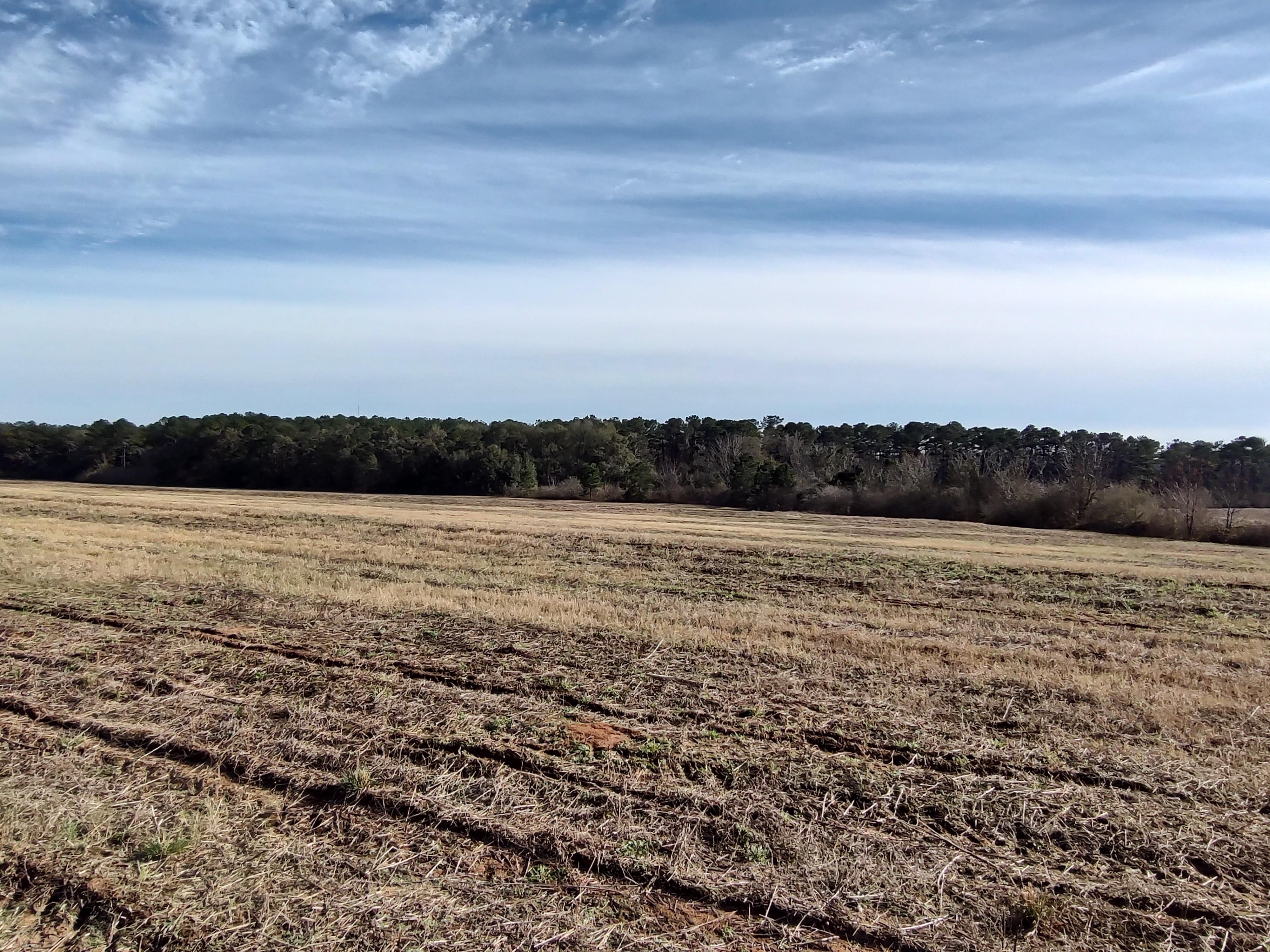 b Road, Dothan, AL 36303 Land and Farm
