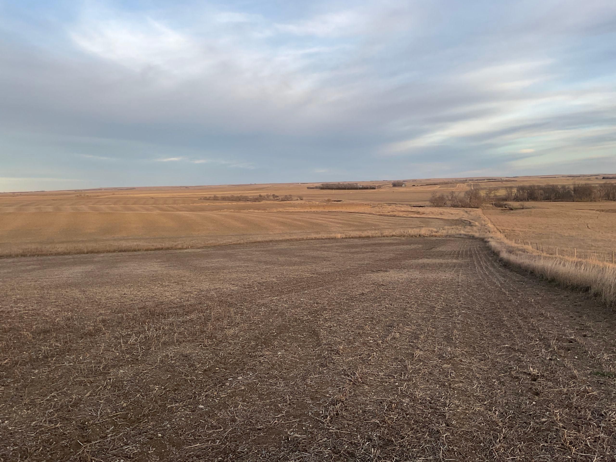TBD, Gregory, SD 57533 Land and Farm