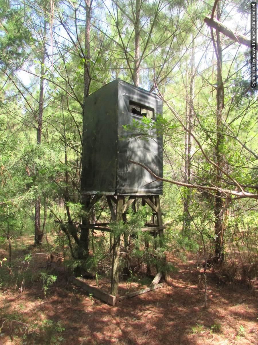 Sharon Road, Canton, MS 39046 MLS 1343229 Land and Farm