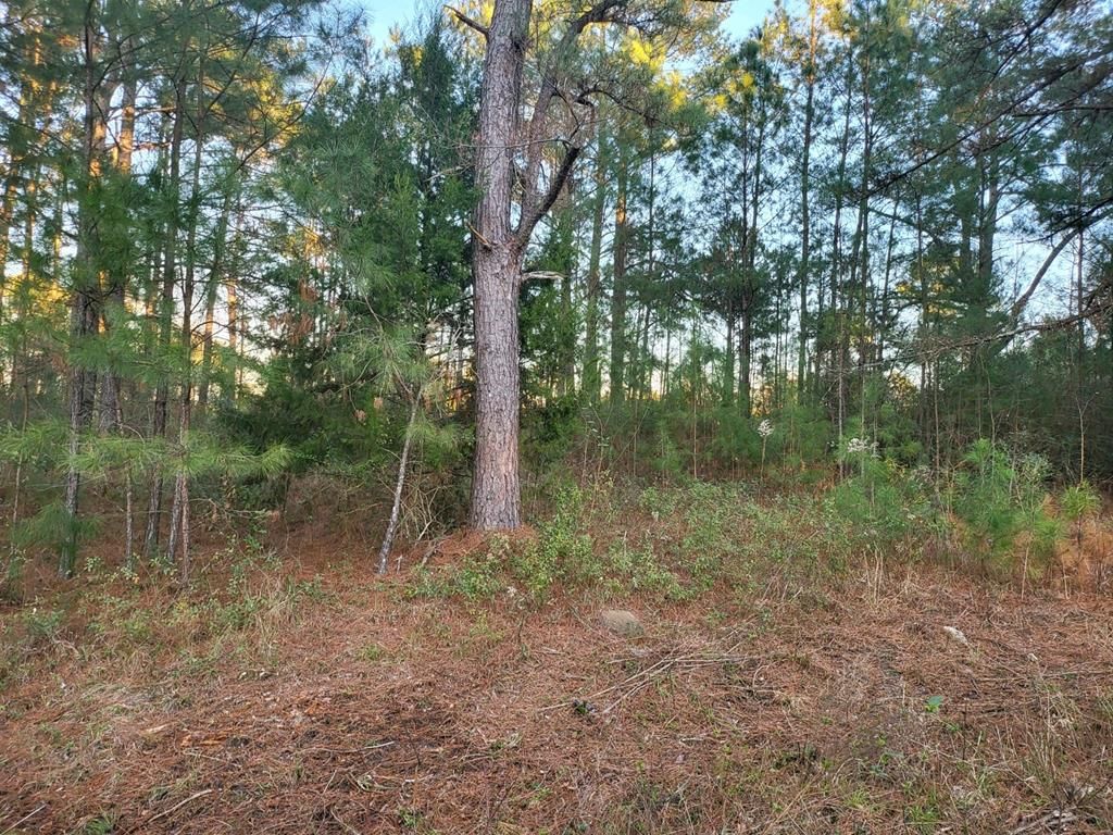 7 Acres, Lot Robert Davis Road, Alapaha, GA 31622 Land and Farm