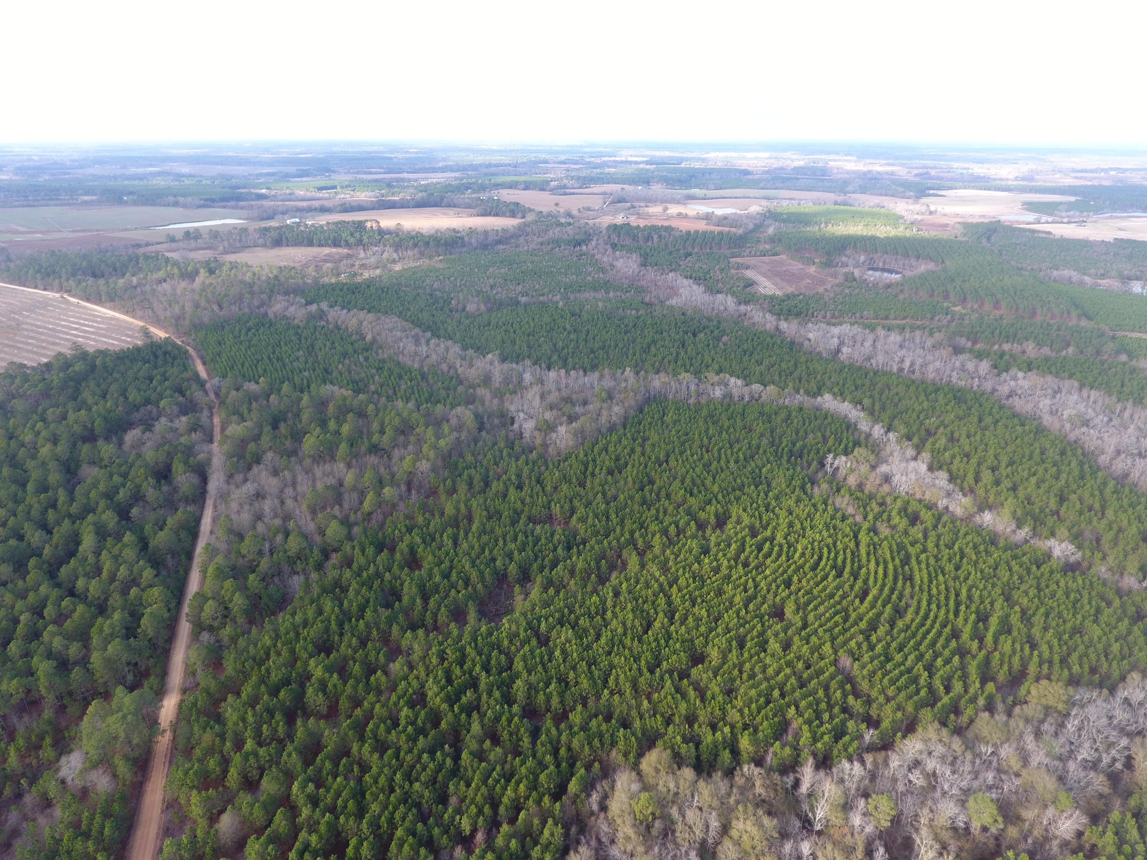 Copperhead Road, Rochelle, GA 31079 Land and Farm