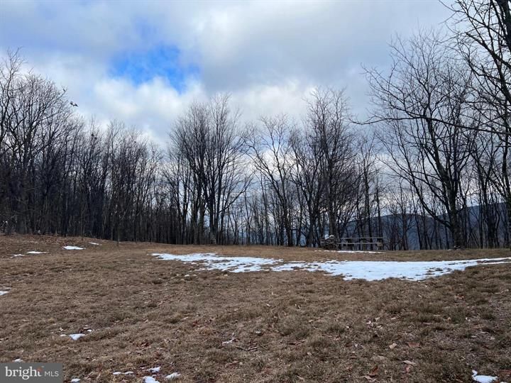 Sit Back Road, Mount Storm, WV 26739 MLS WVGT2000162 Land and Farm