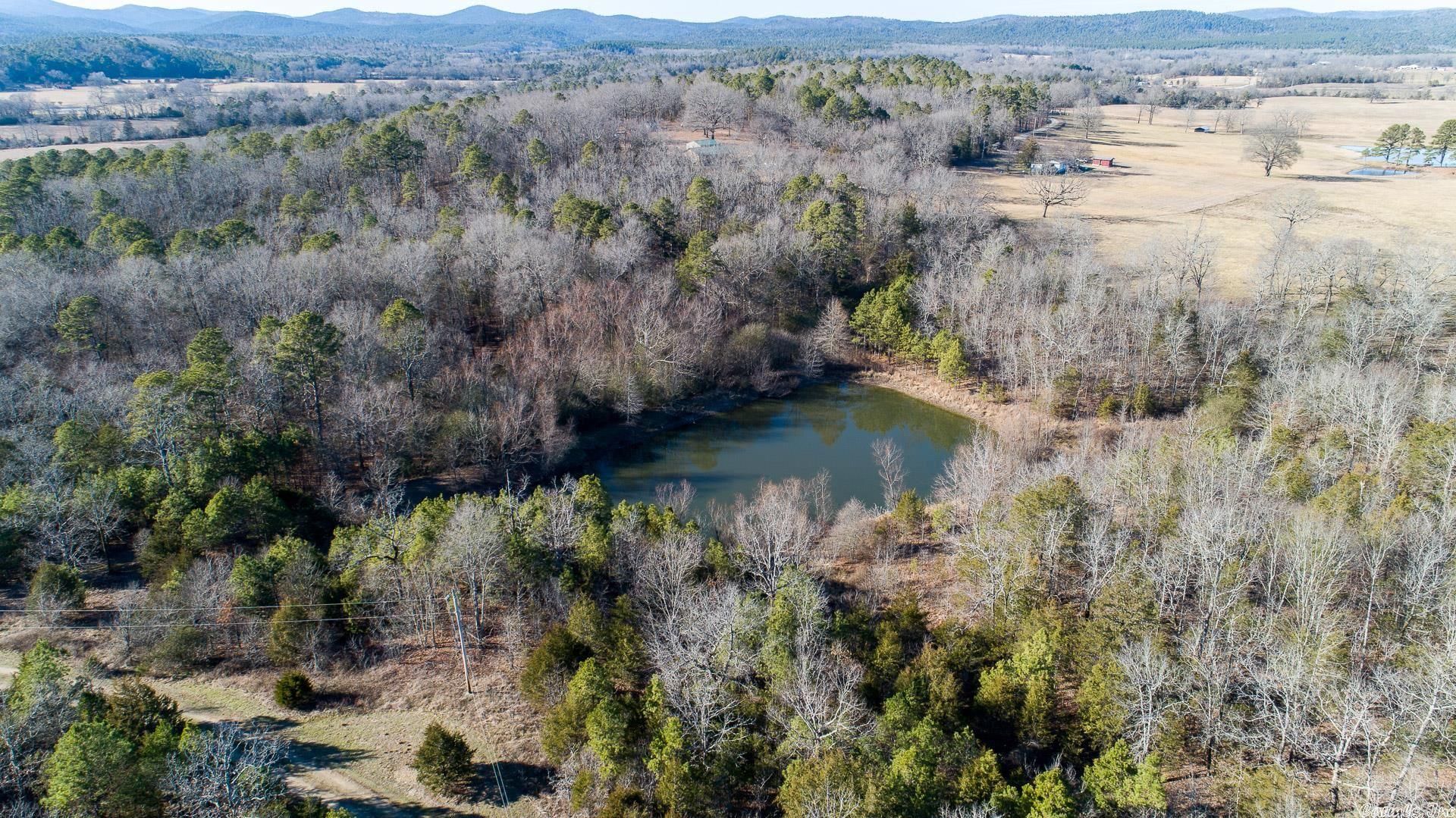 80 Acres, 91 Pore Boy Lane, Oden, AR 71961 Land and Farm