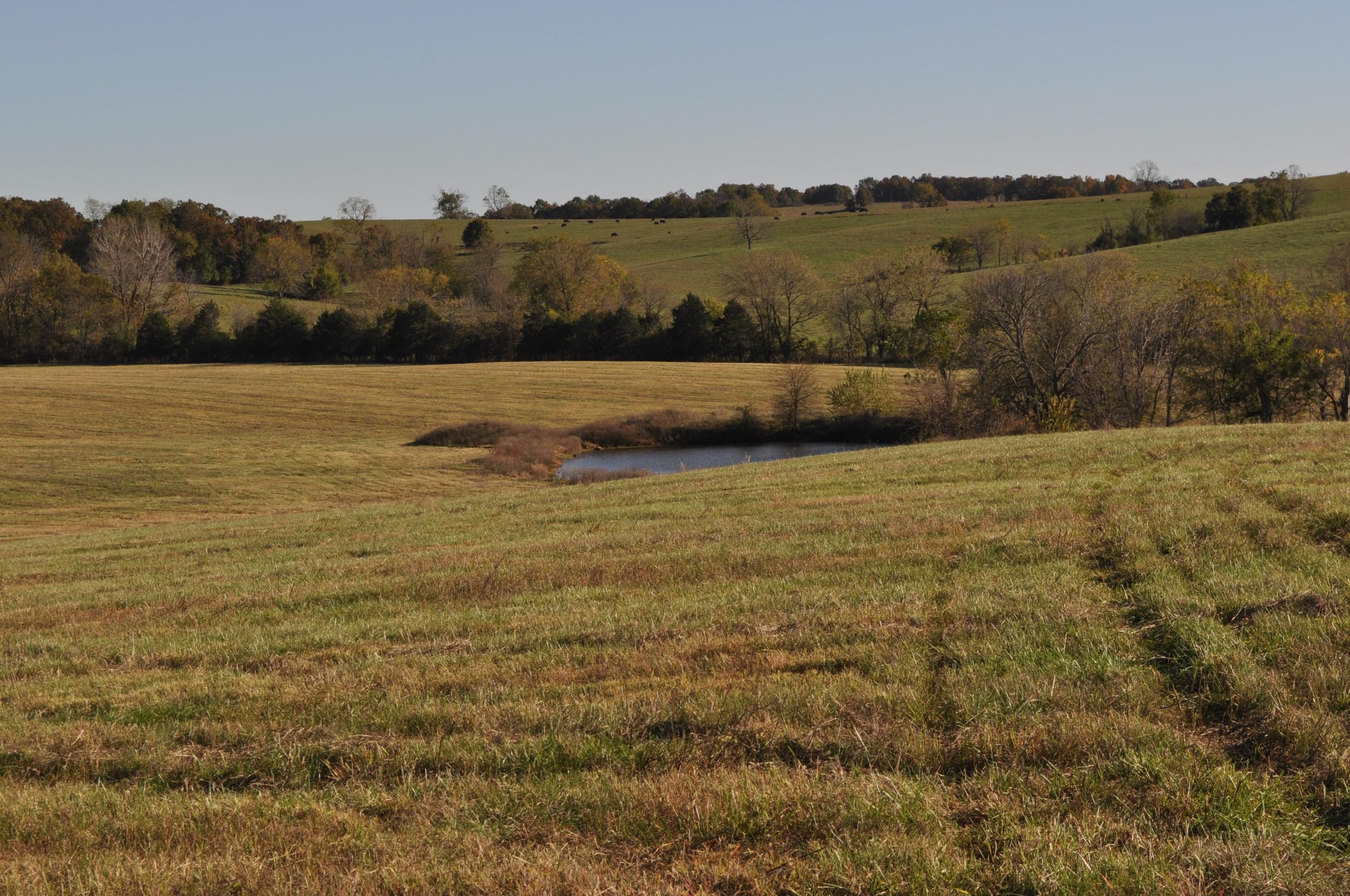 522 acres in Everton, MO, 65646 MLS 60204679 Land and Farm