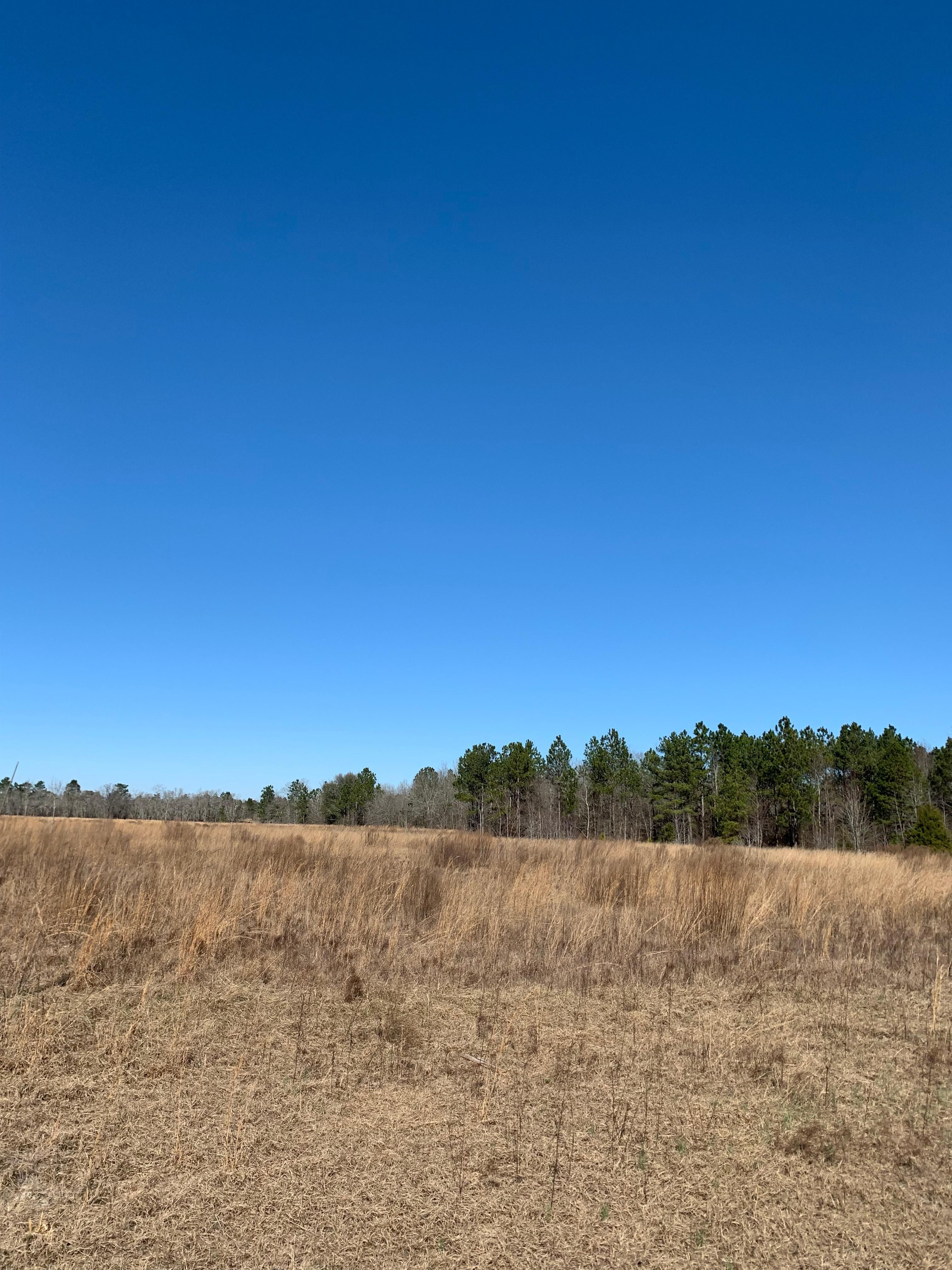 Road, Williston, SC 29853 Land and Farm