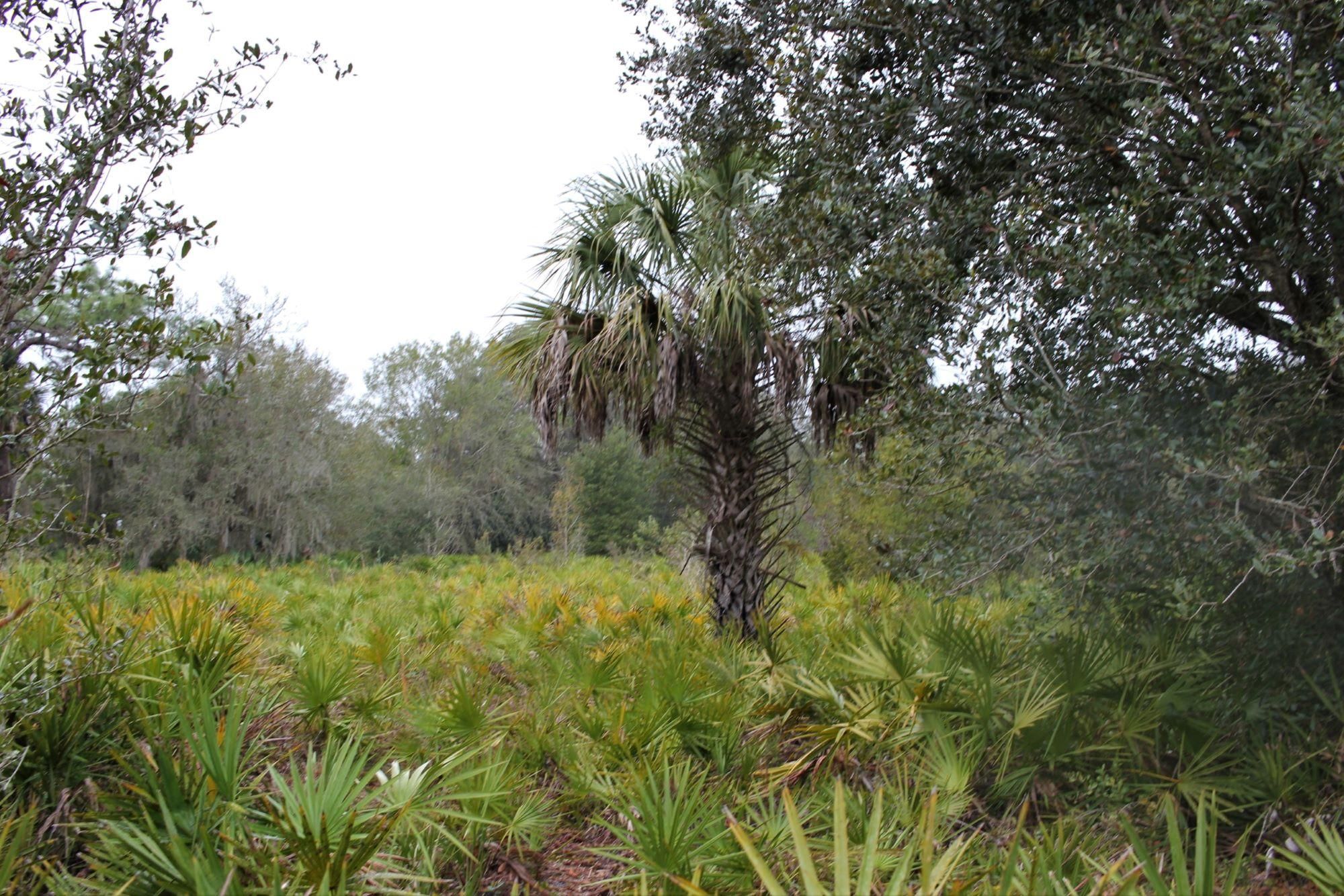 287 Acres, Old Crewsville Road, Zolfo Springs, FL 33890 Land and Farm