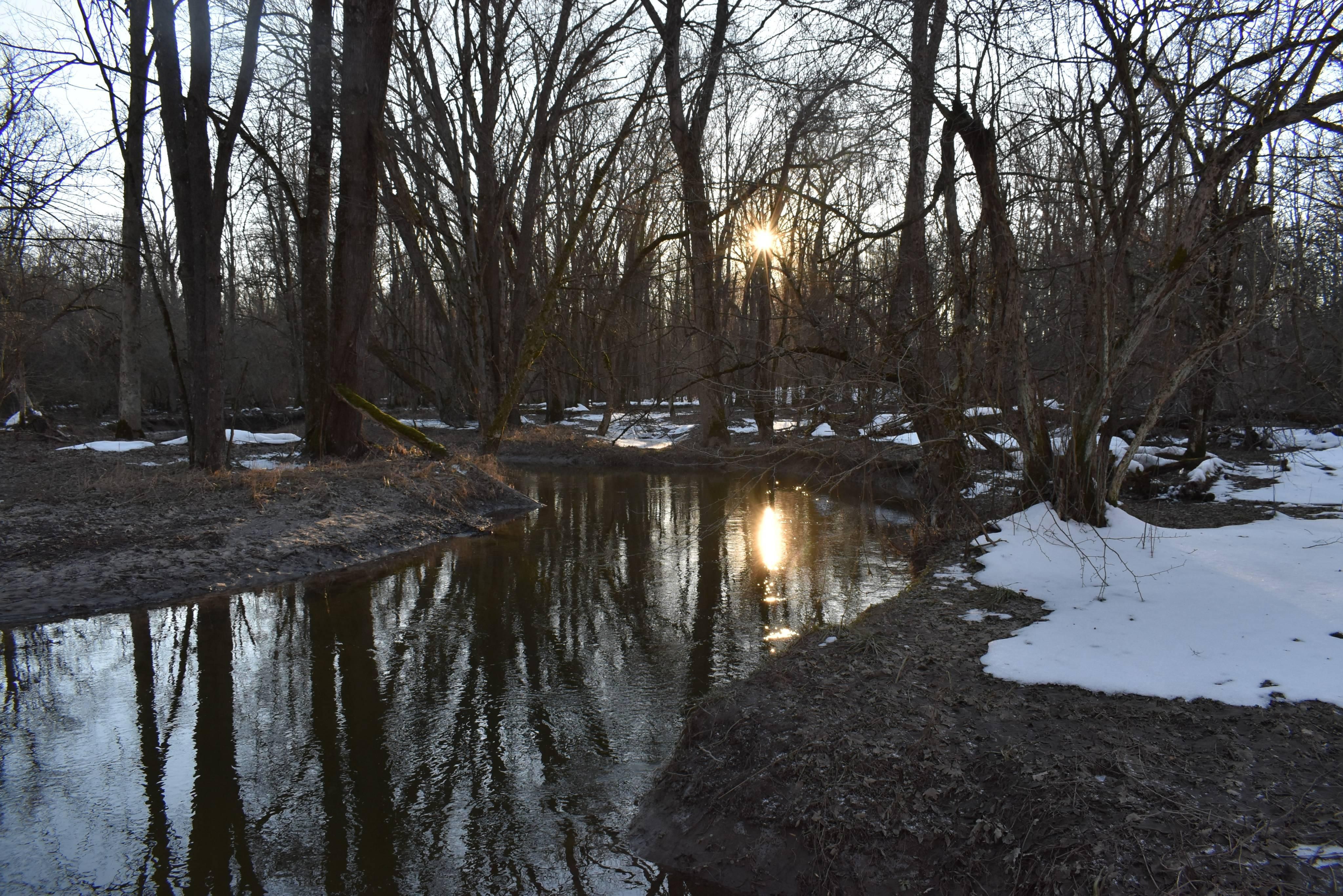 Stockton Cassadaga Road, Stockton, NY 14784 Land and Farm