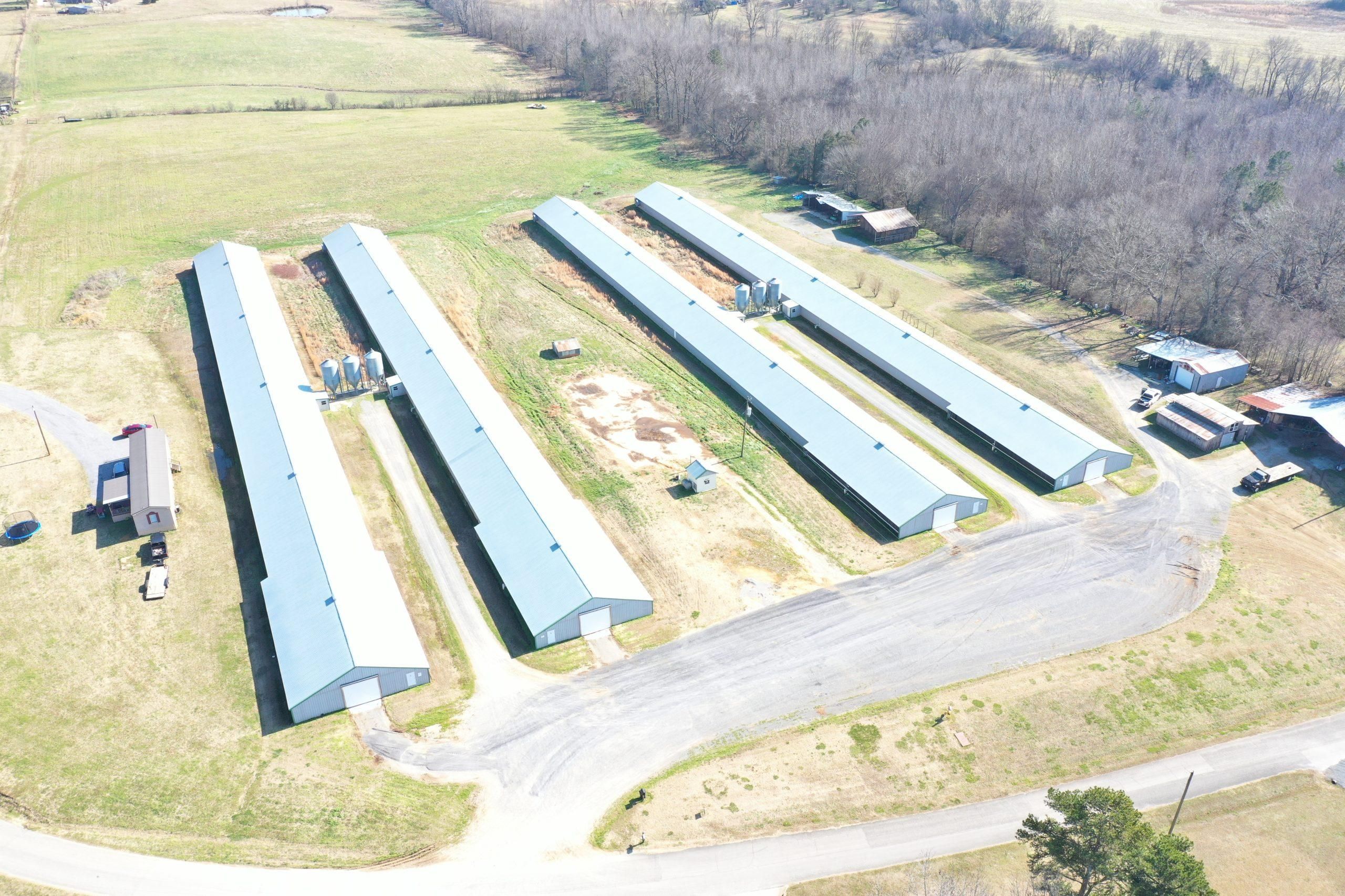 17 Acres, County Road 259, Town Creek, AL 35672 Land and Farm