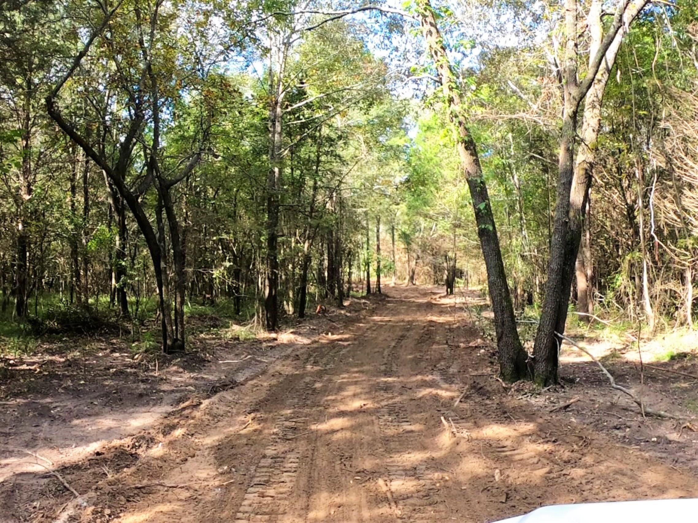 3.15 Acres, Turner Circle, Tyler, TX 75704 Land and Farm