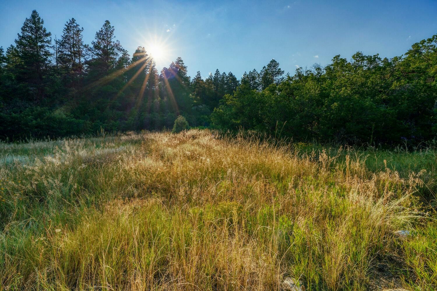 7 Acres, Weston, CO 81091 Land and Farm
