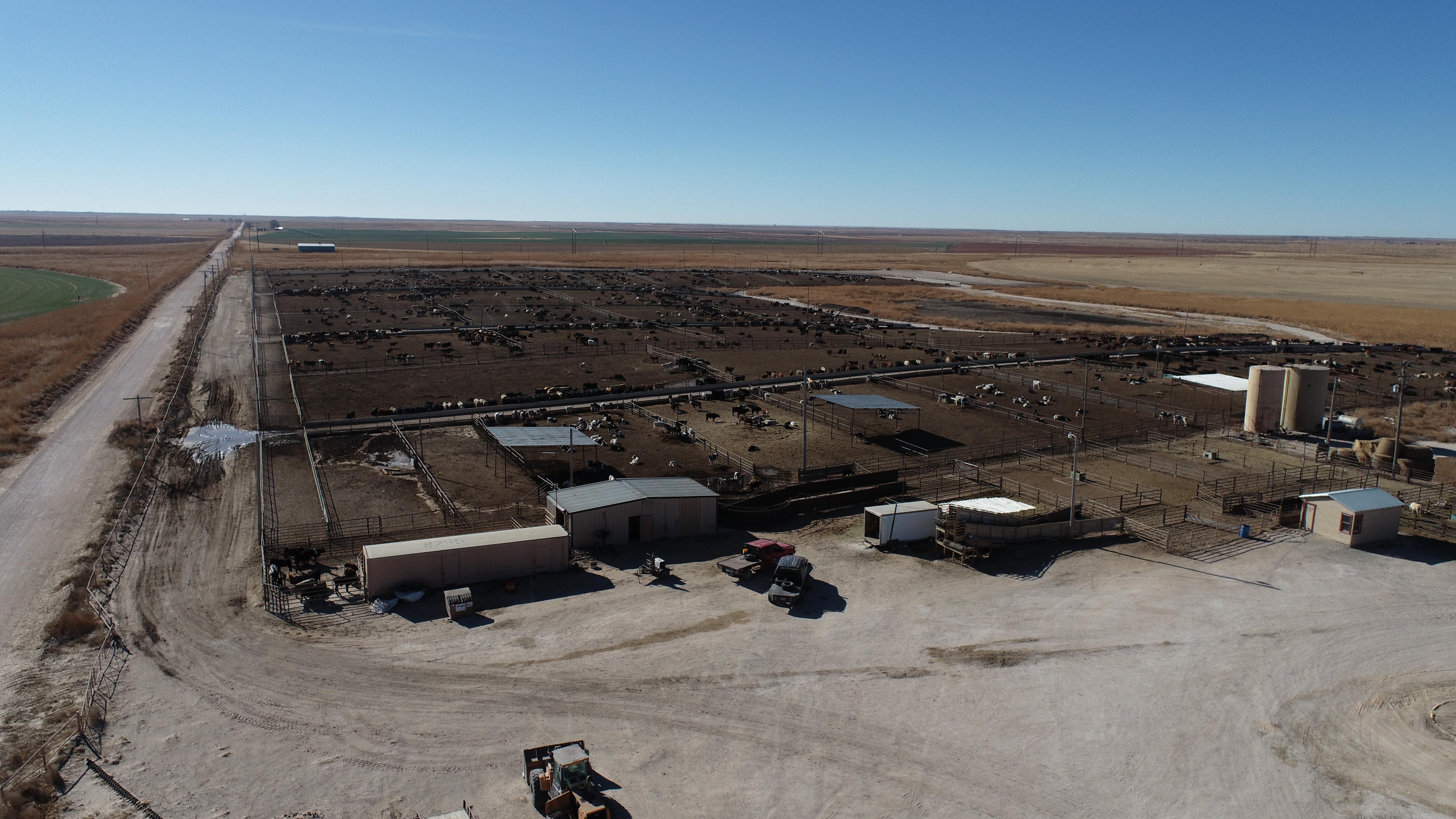 630 County Road 113, Muleshoe, TX 79347 MLS 202200889 Land and Farm