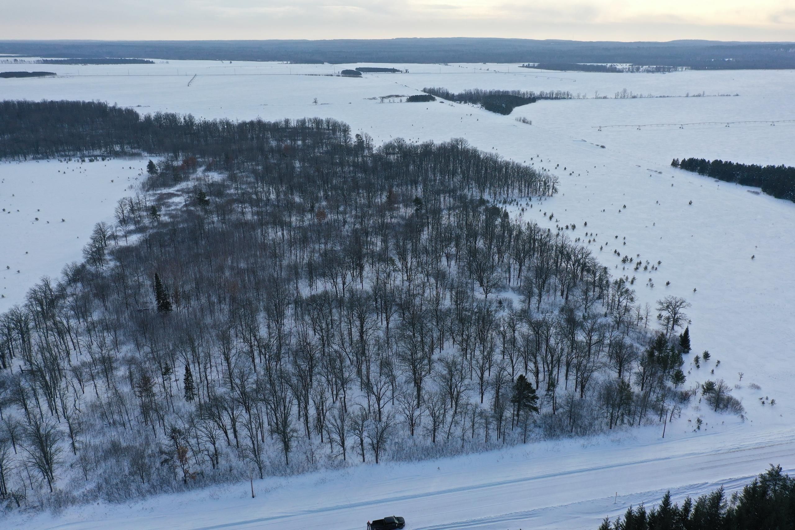 37 Acres, 520th Street, LotWP001, Osage, MN 56570 Land and Farm