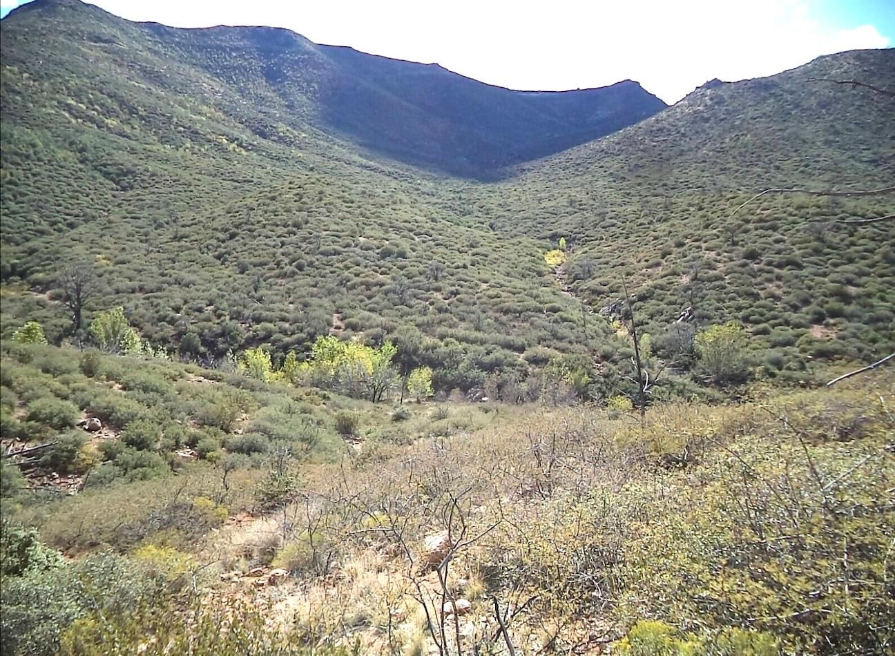 40 acres in Tonto Basin, AZ, 85553 Land and Farm