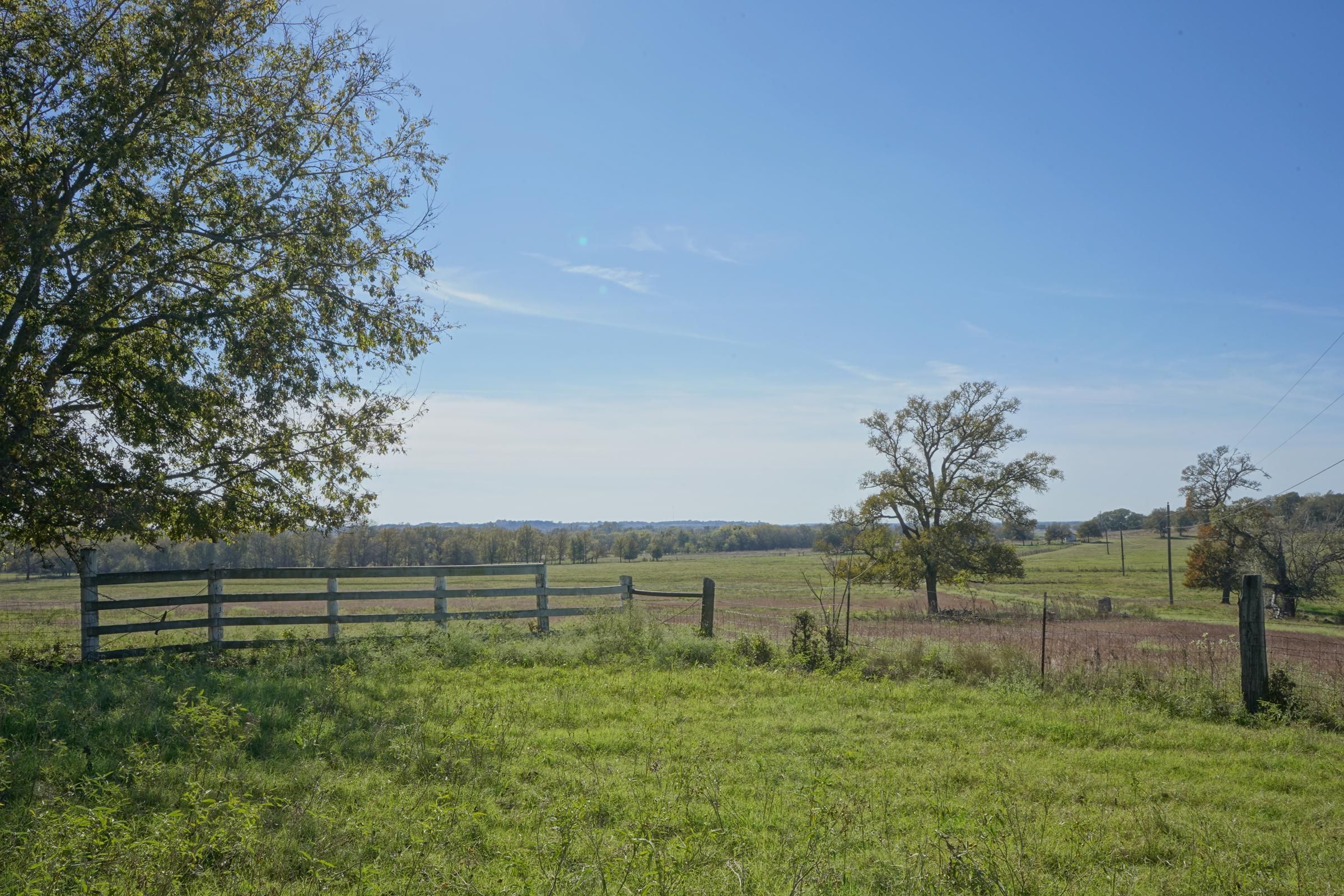 91 Acres, 91 +/ Acres, County Road 447, Anderson, TX 77830 Land and Farm