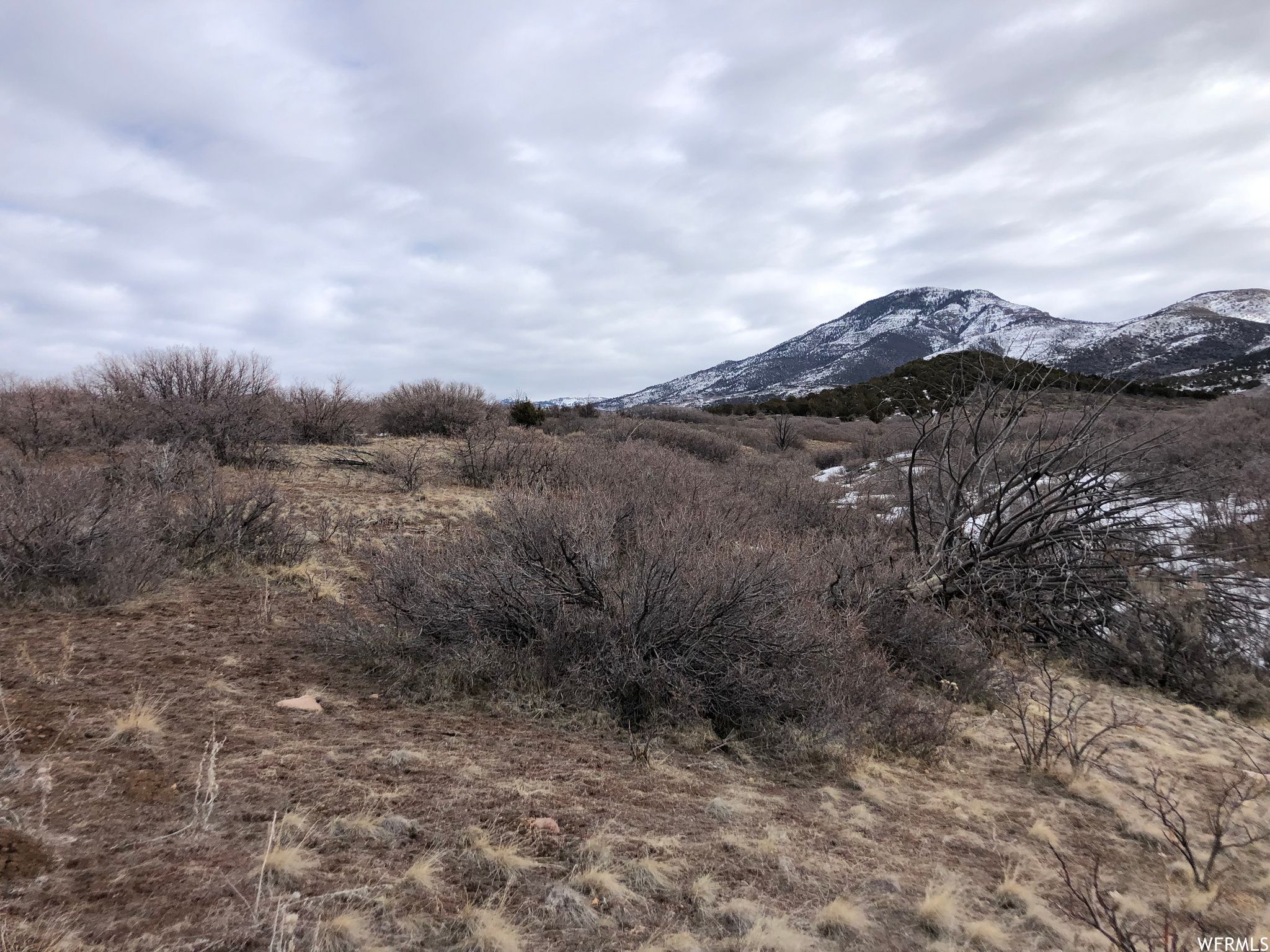 40 acres in Millard County, Utah