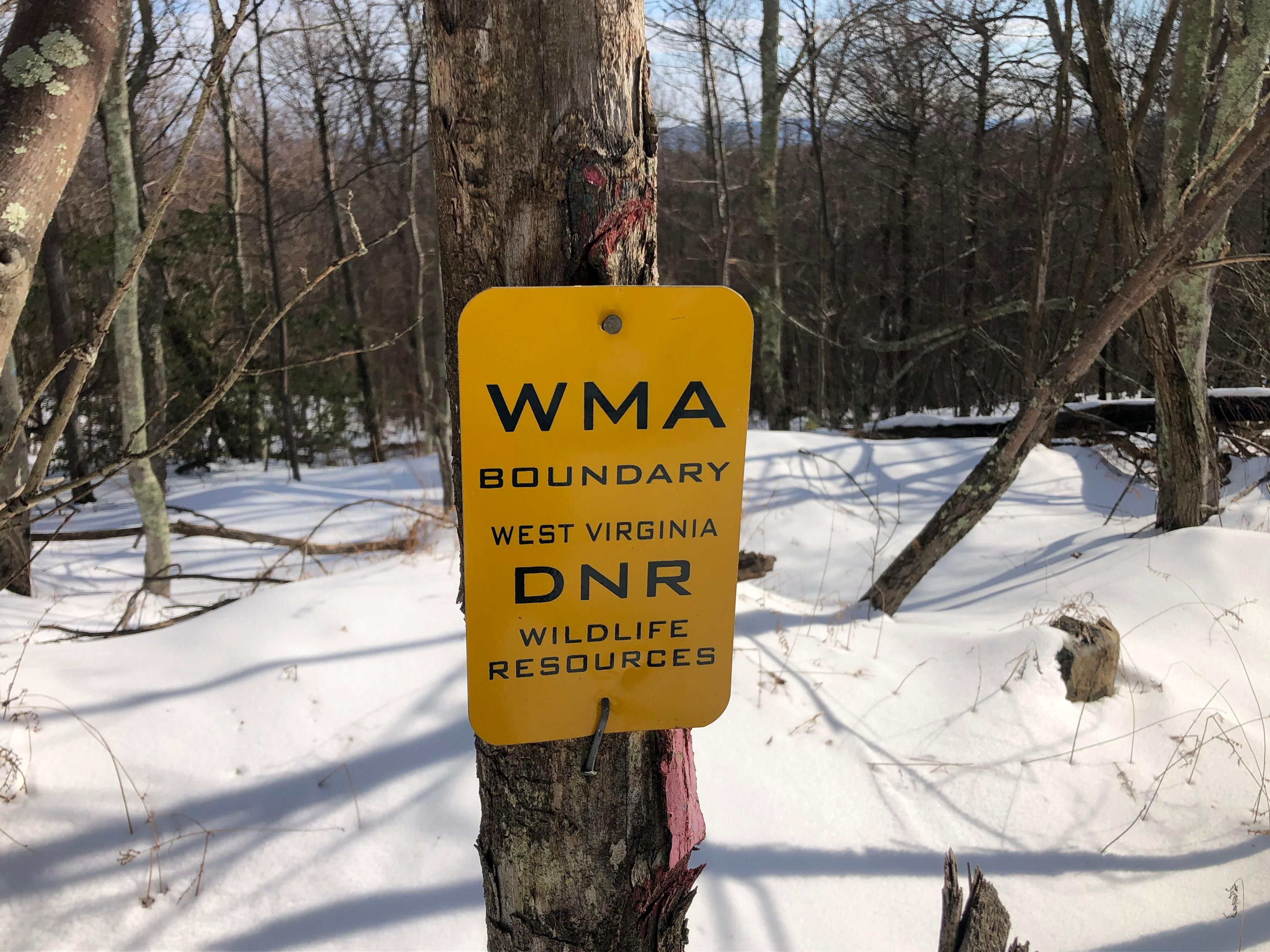 20 Acres, 356 ASHTON WOODS, Moorefield, WV 26836 Land and Farm