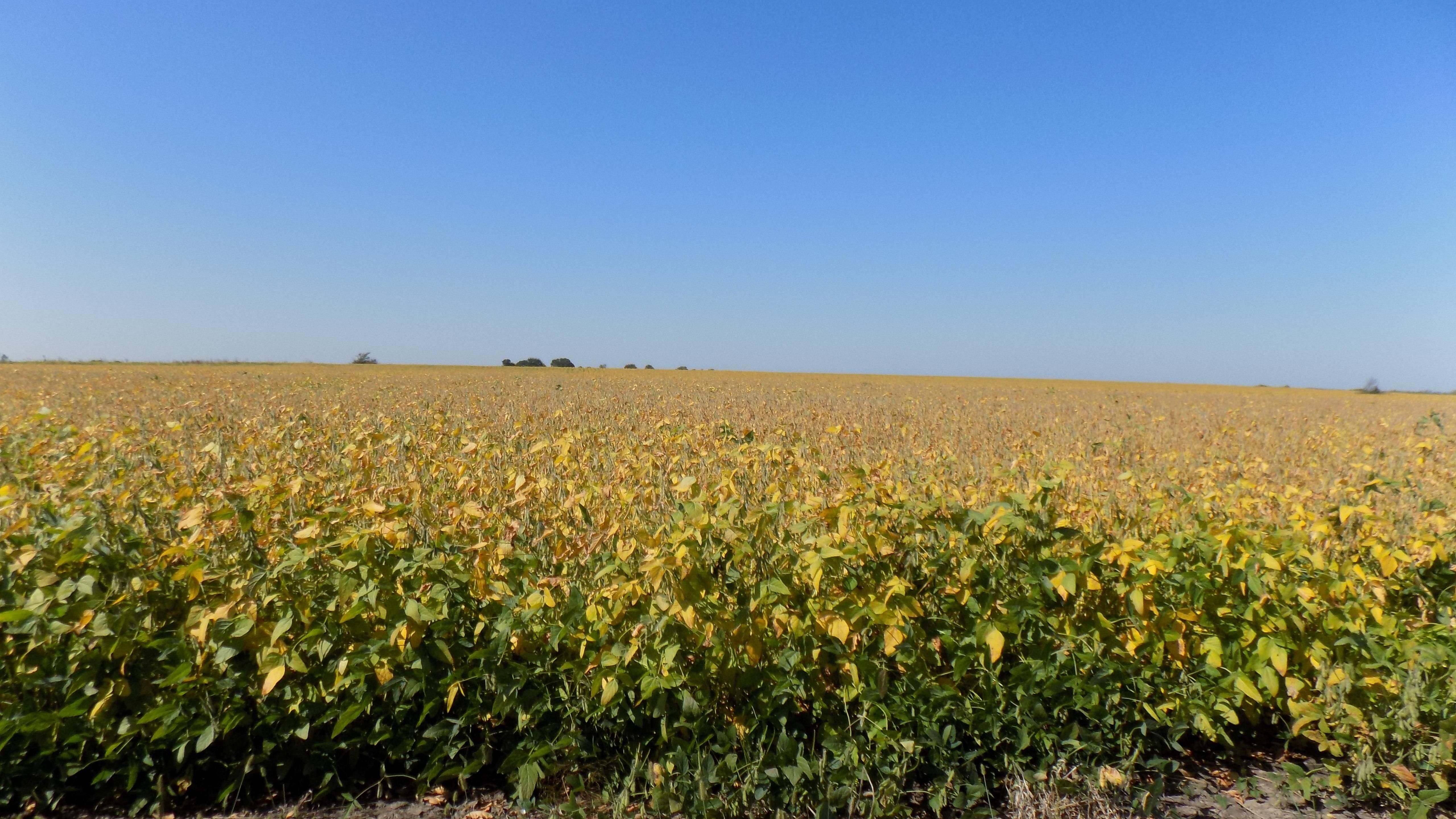 164 Acres, 2400 and Jefferson Rd, Richmond, KS 66080 Land and Farm